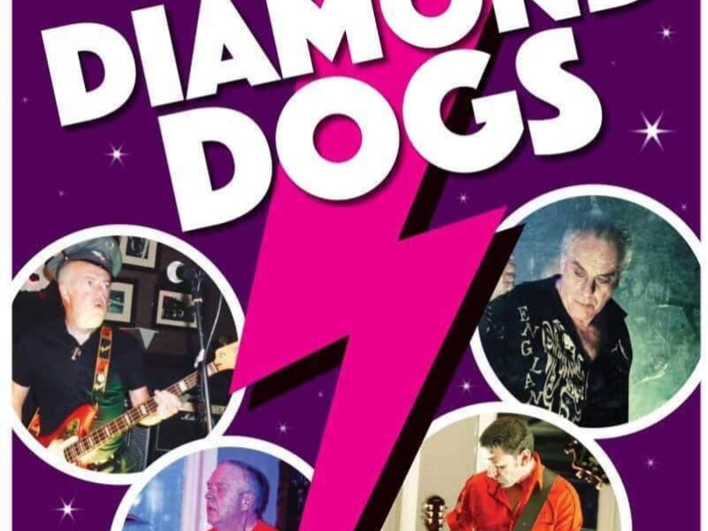 Diamond Dogs - Live On Stage